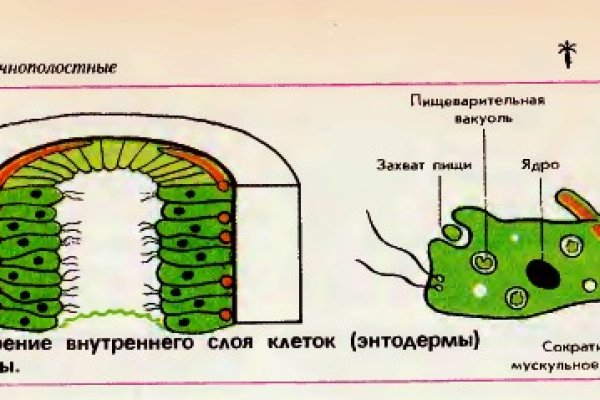 Kraken zerkalo официальный сайт