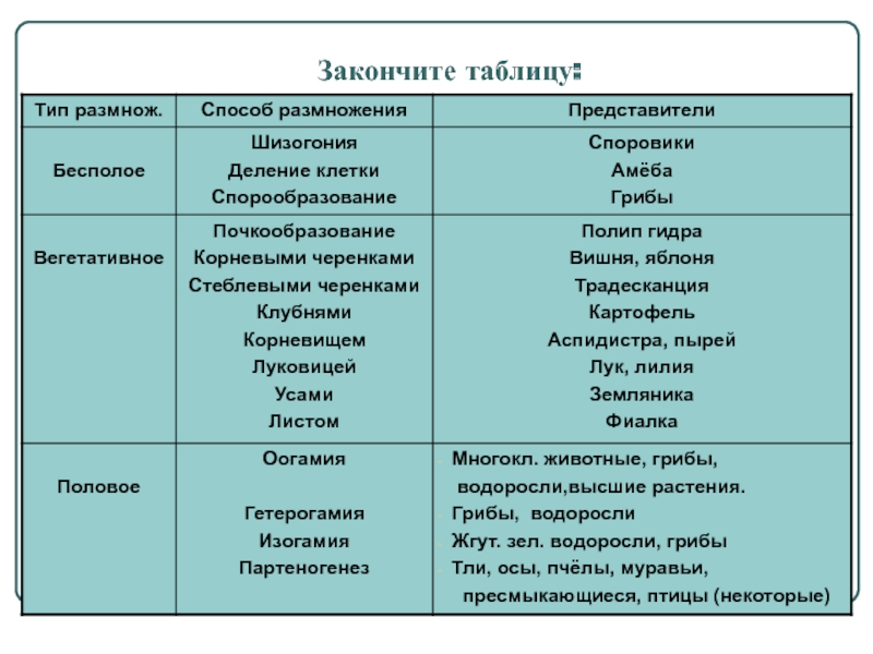 Где найти ссылку на кракен