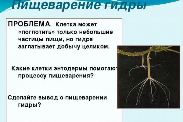 Кракен современный даркнет маркетплейс